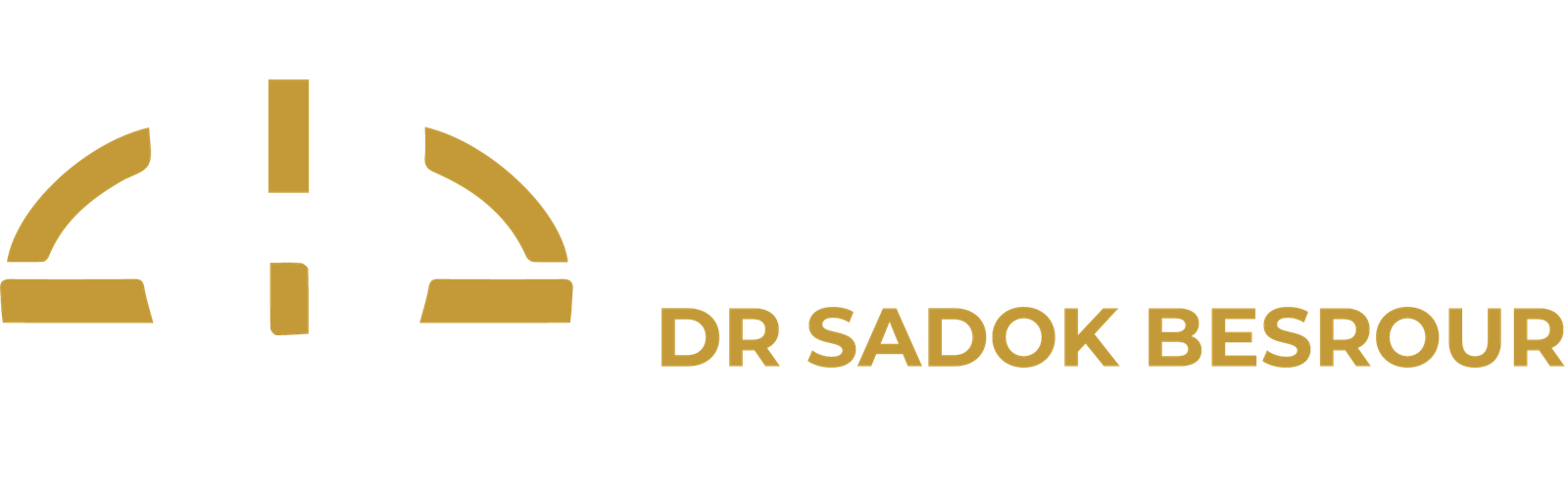 Fondation dr sadok besrour