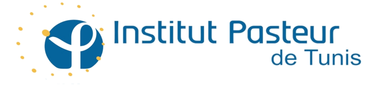 logoipsum-2