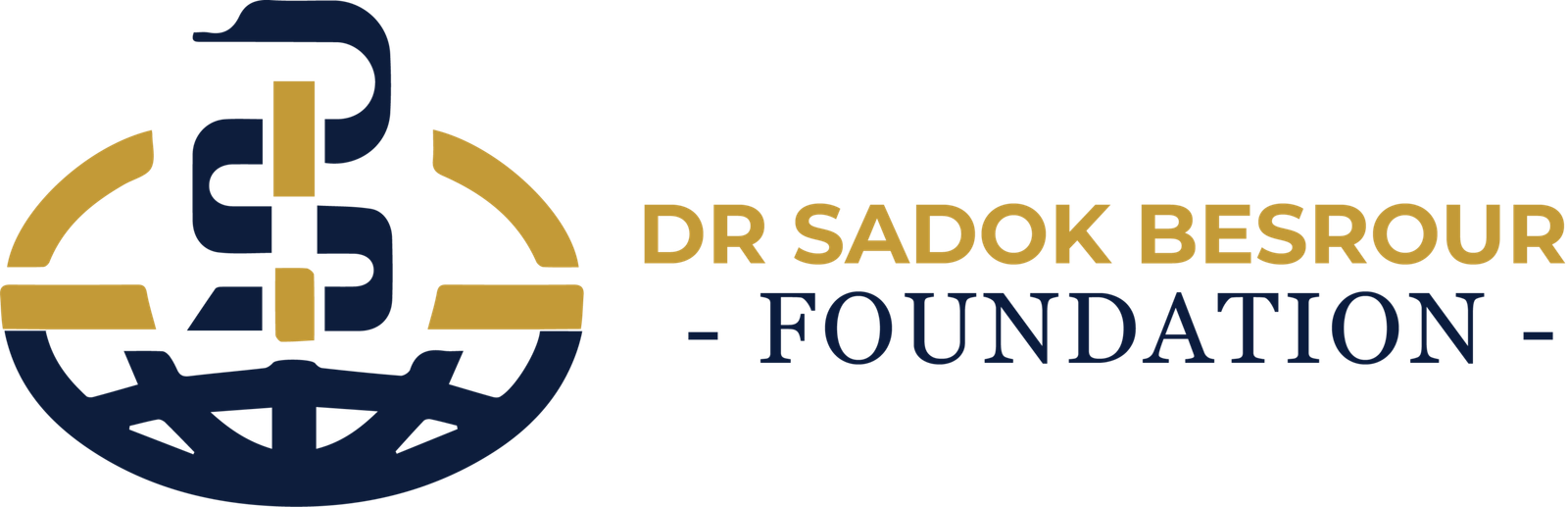 Dr. sadok besrour foundation