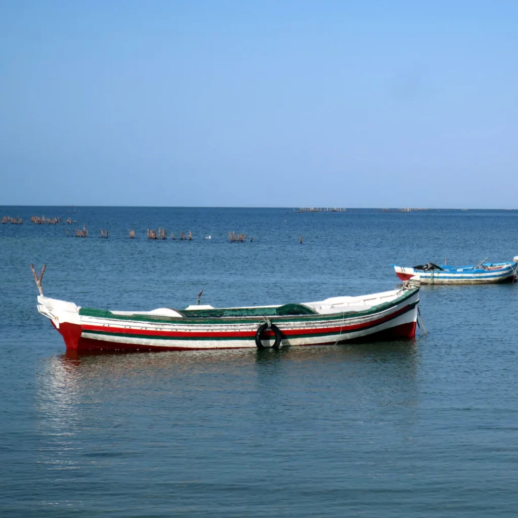 Cultural preservation projects